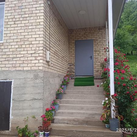 Guest House Kyzyl Alma Arkit Exterior photo